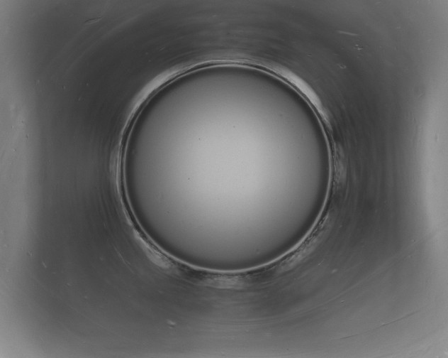 X0000112141245200908141148