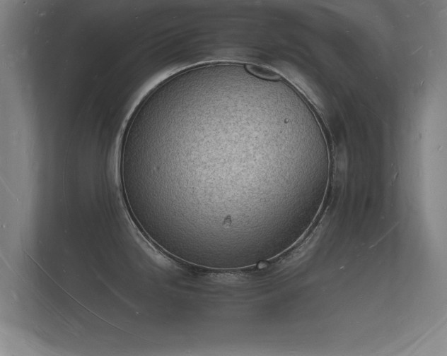 X0000112141246200908141148