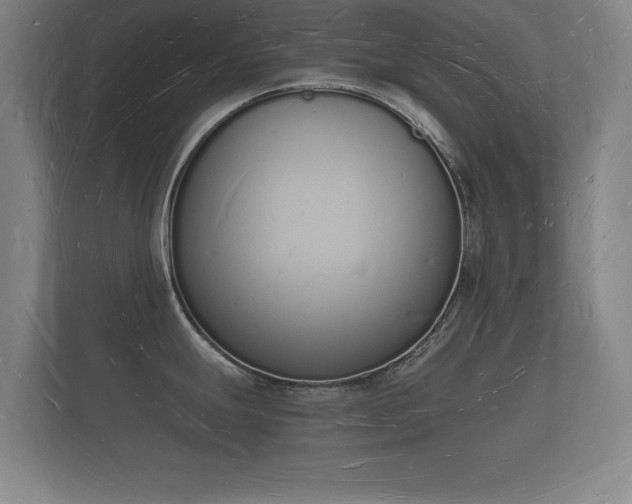 X0000112141247200908141148