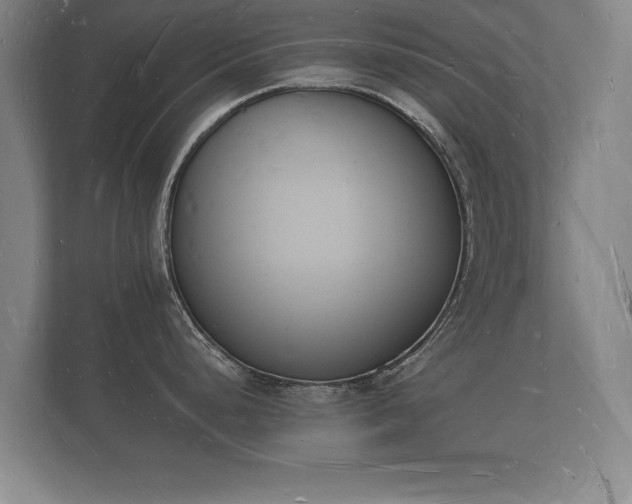 X0000112141248200908141148