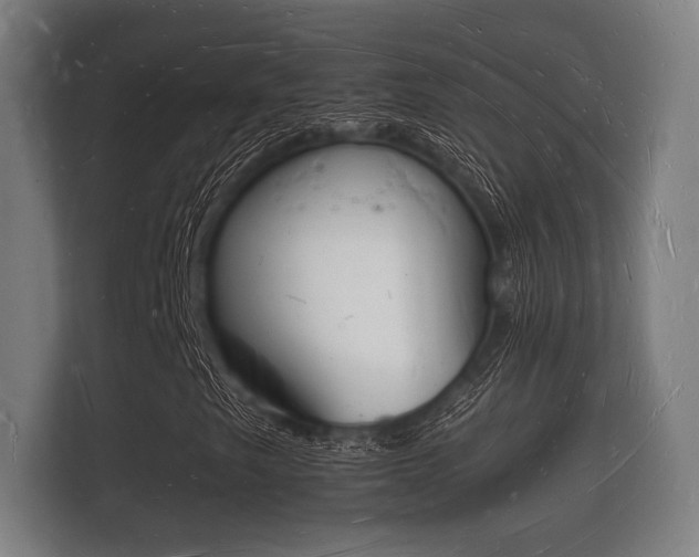 X0000112141249200908141147