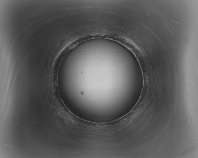 X0000112141256200908141147