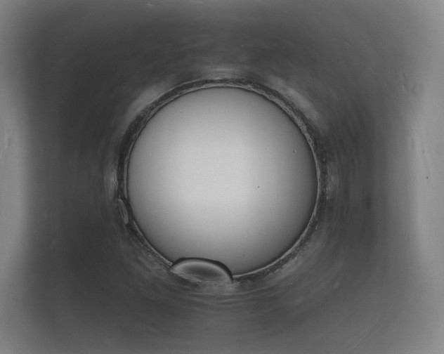 X0000112141261200908141147