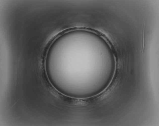 X0000112141263200908141147
