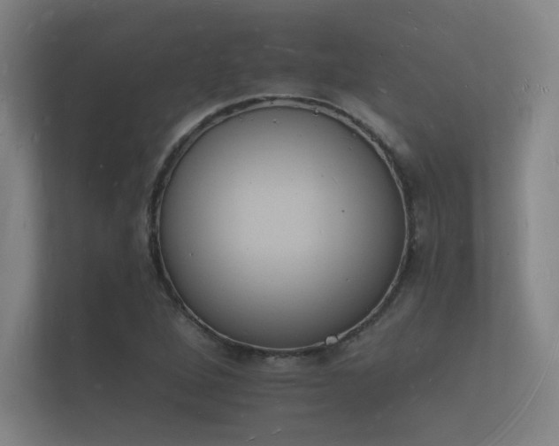 X0000112141264200908141147