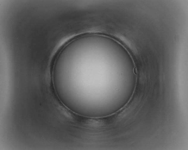 X0000112141270200908141147