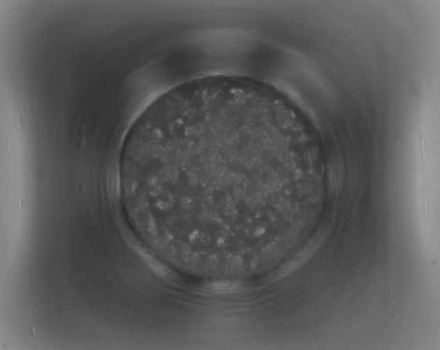 X0000112141274200908141147