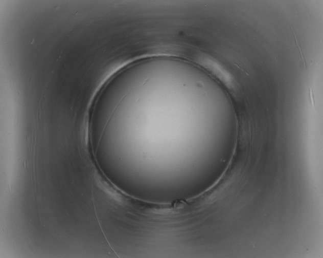 X0000112141276200908141147