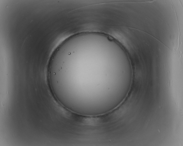 X0000112141277200908141147