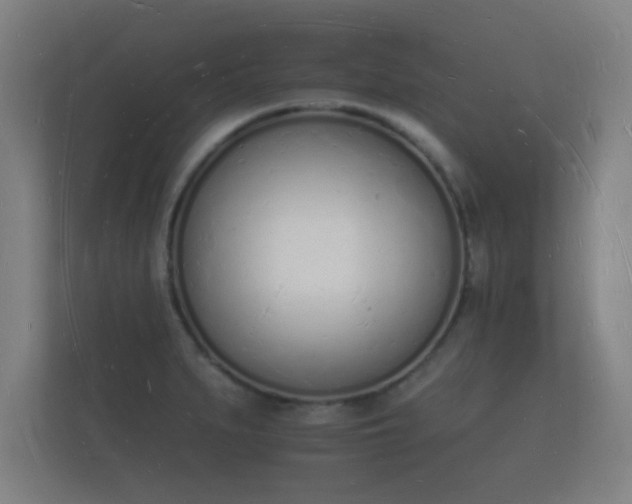 X0000112141279200908141147