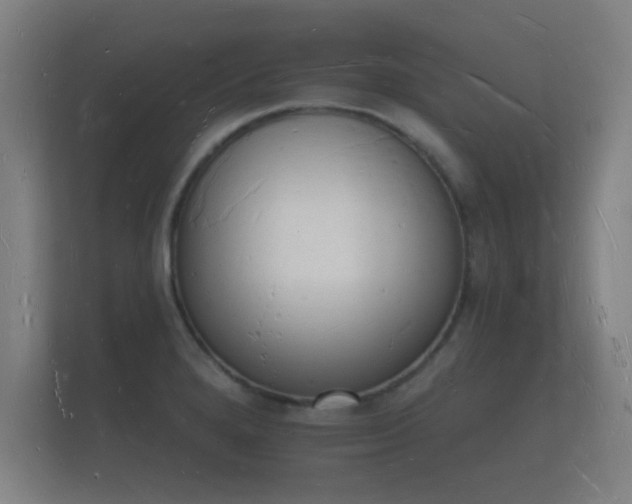 X0000112141280200908141147