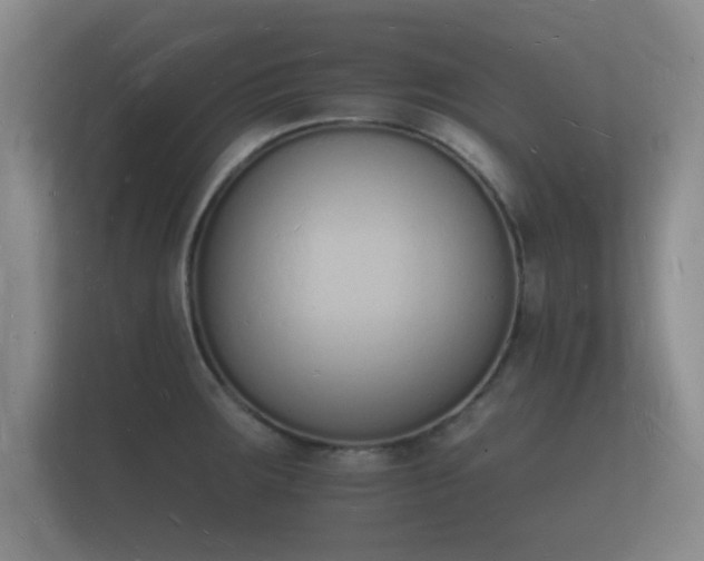 X0000112141283200908141147