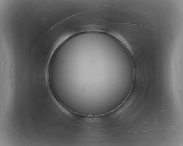 X0000112141285200908141147