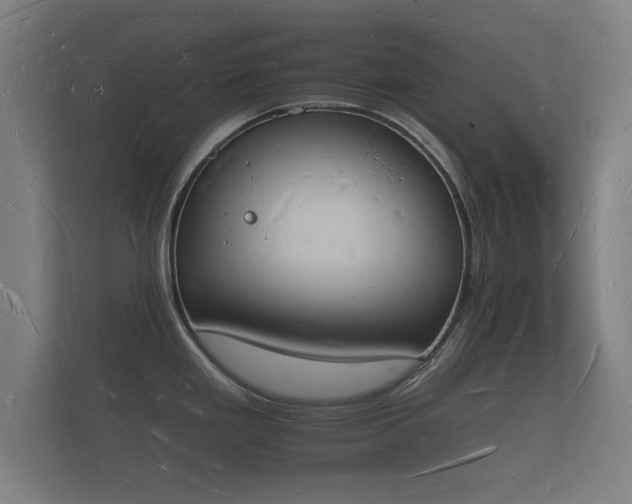 X0000112141293200908141146