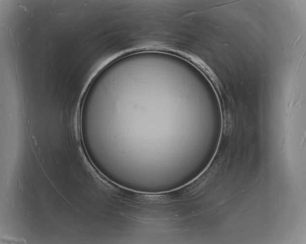 X0000112141295200908141146