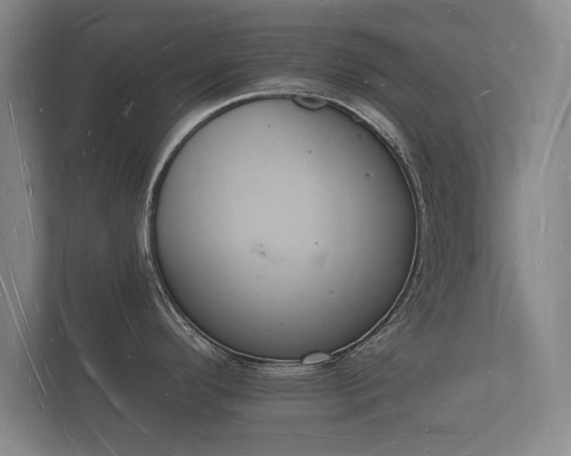 X0000112141296200908141146