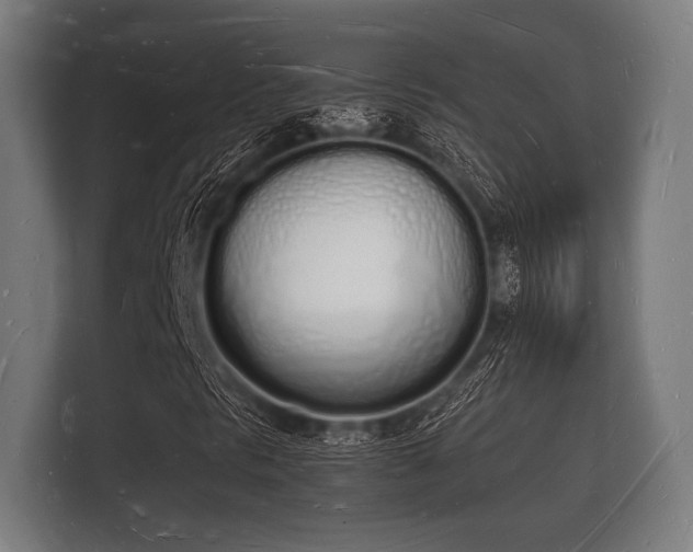 X0000112141297200908141146