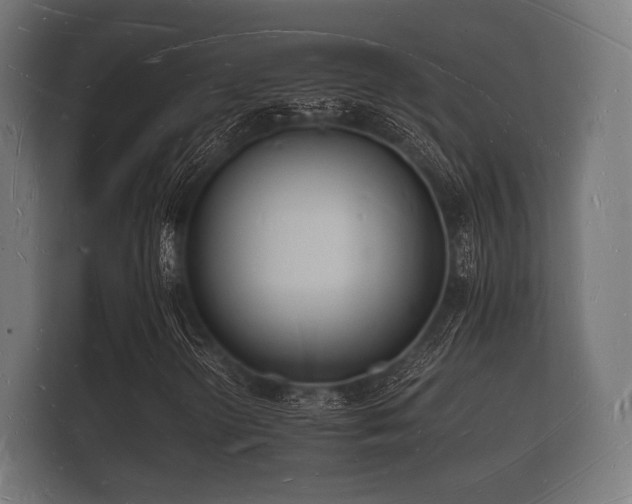 X0000112141298200908141146