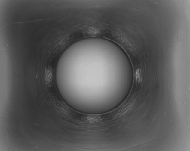 X0000112141299200908141146