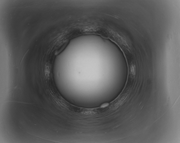 X0000112141300200908141146