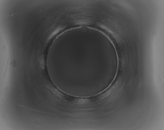 X0000112141306200908141146