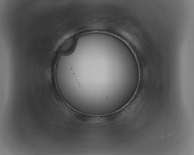 X0000112141307200908141146