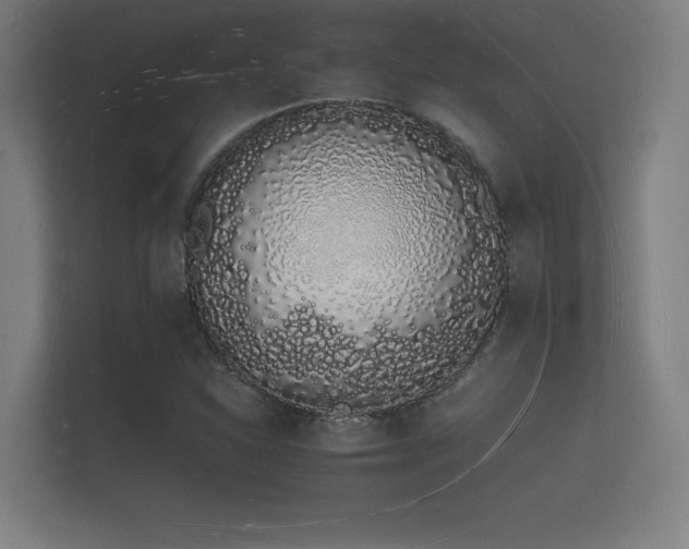 X0000112141310200908141146
