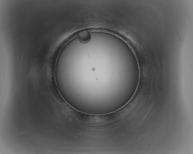 X0000112141311200908141146