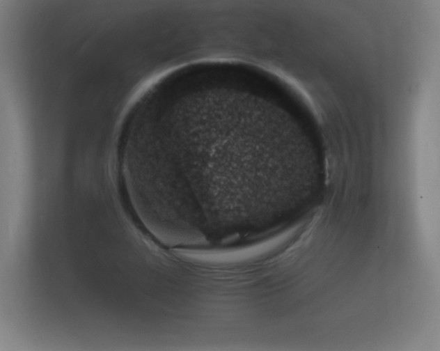 X0000112141319200908141146