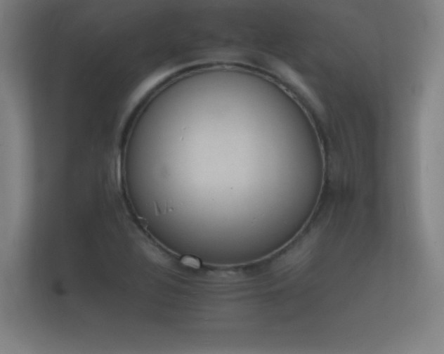 X0000112141320200908141146