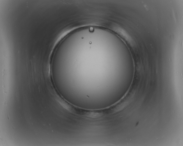 X0000112141324200908141146