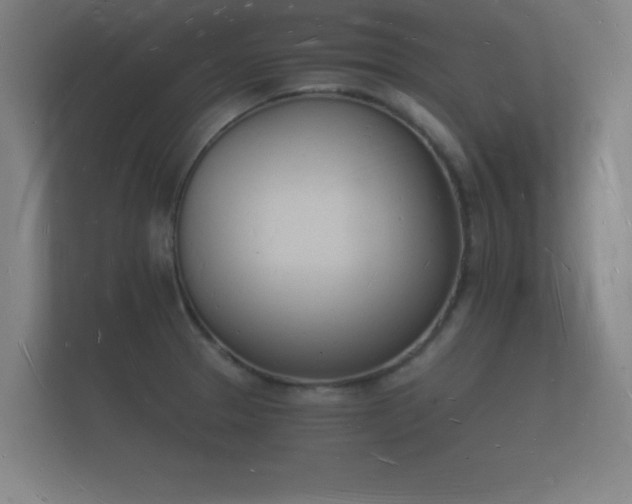 X0000112141329200908141146