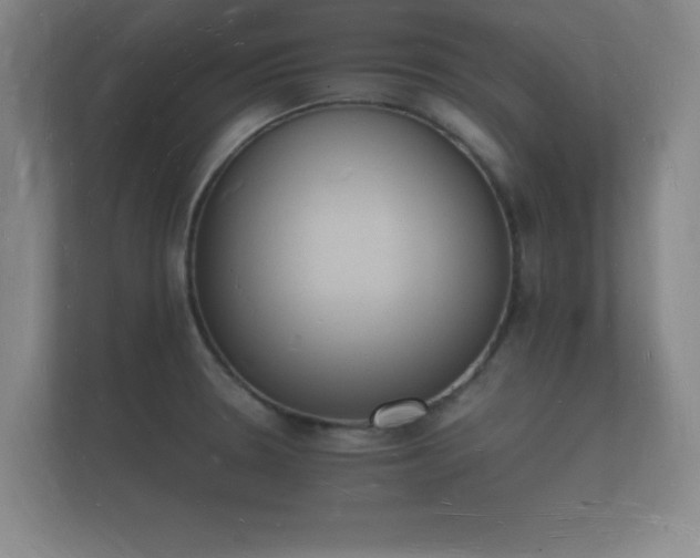 X0000112141330200908141146