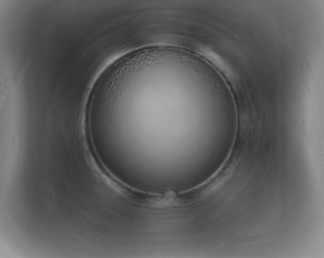 X0000112141331200908141146