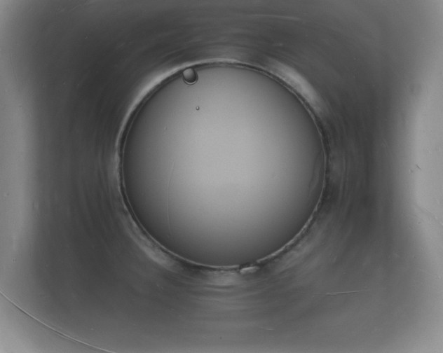 X0000112141332200908141146