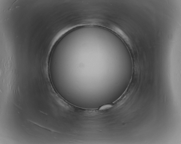 X0000112141336200908141146