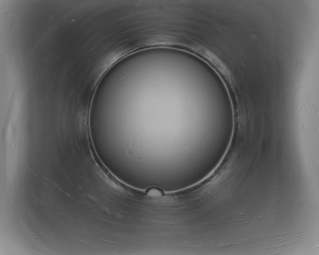 X0000112141337200908141146