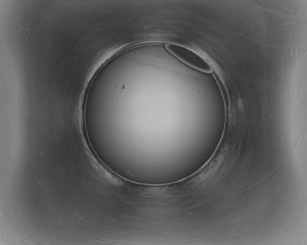 X0000112141341200908141146