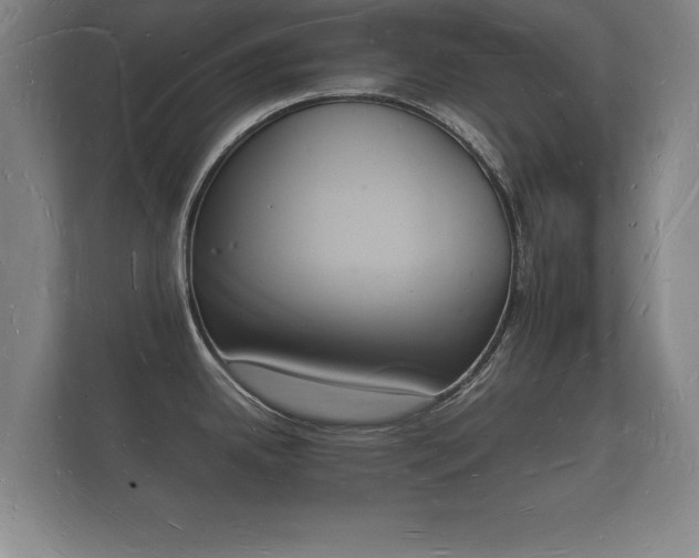 X0000112141342200908141146
