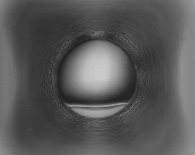 X0000112141345200908141146