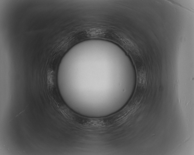 X0000112141346200908141146