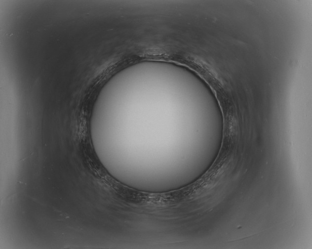 X0000112141350200908141146