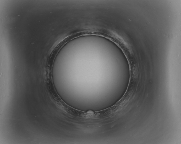 X0000112141352200908141146