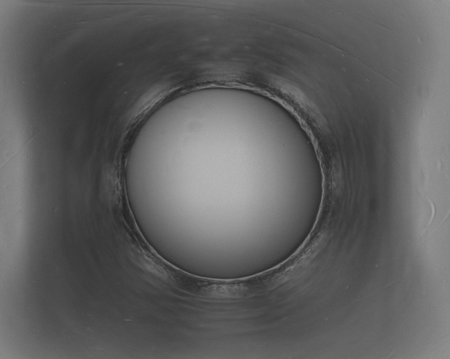 X0000112141354200908141146