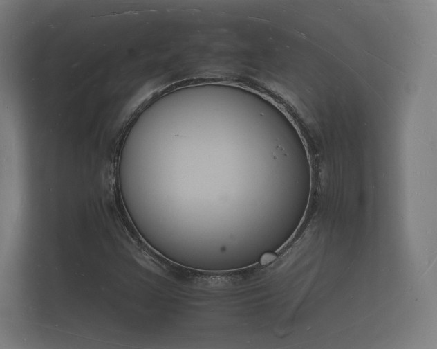 X0000112141355200908141146
