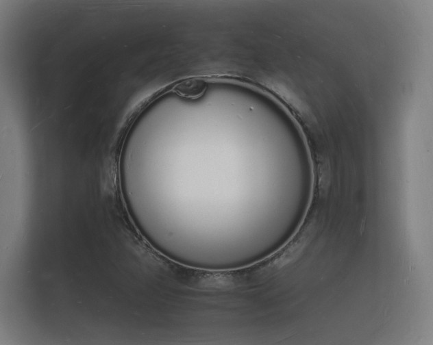 X0000112141358200908141146