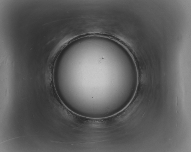 X0000112141359200908141146