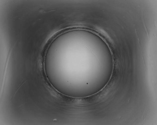 X0000112141360200908141146