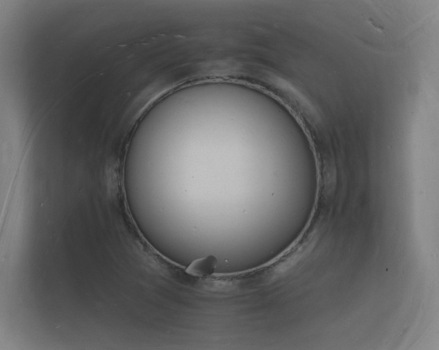 X0000112141361200908141146