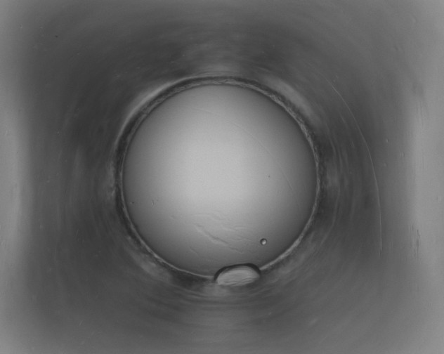 X0000112141364200908141146